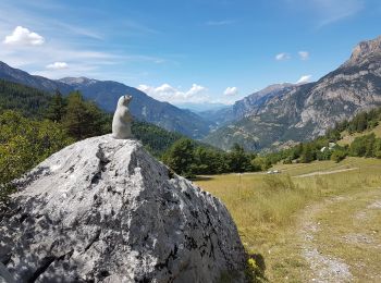 Tocht Stappen Méolans-Revel - Petite Séolane - Photo