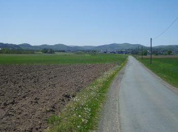 Percorso A piedi Medebach - Medebach Rundweg M4 - Photo