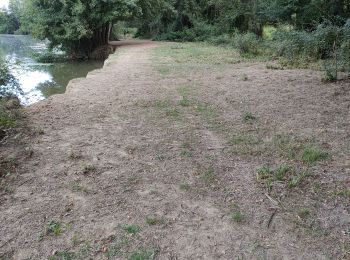 Tocht Stappen Grenade-sur-l'Adour - xyz - Photo