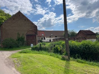 Percorso Sentiero Rebecq - Tour du Brabant wallon première étape  - Photo