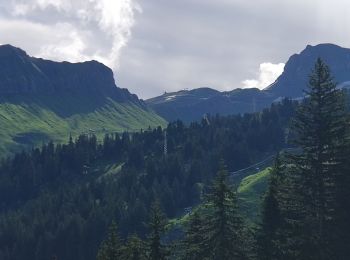 Randonnée Marche Arâches-la-Frasse - Col de ColonnEy et Tête de Monthieu. - Photo