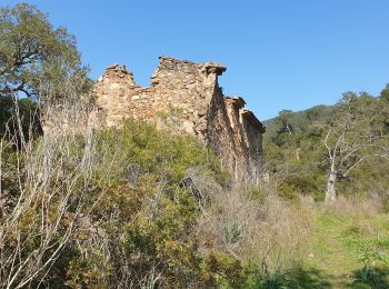 Excursión Bici de montaña Hyères - Les Borels 2 VTT - Photo