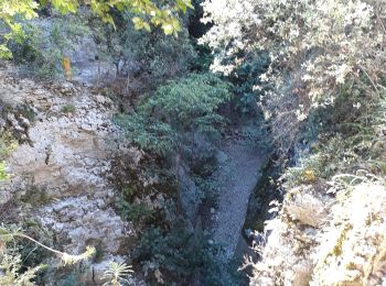 Trail Walking Gordes - Veroncle Murs Joucas - Photo