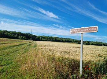 Tour Wandern Naveil - Circuit au lieu-dit Bordebeure Marcilly-en-Beauce - Photo