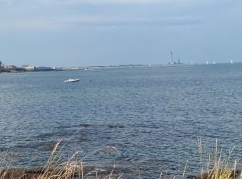 Excursión Senderismo Montfarville - Montfarville  - Photo