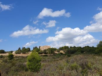 Randonnée Marche Marseille - massif de l'etoile - Photo