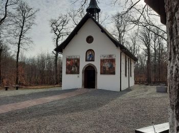 Randonnée Marche Guewenheim - guewenheim notre Dame des Bouleaux  - Photo