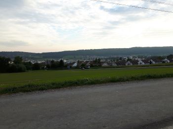 Percorso A piedi Regensdorf - Bösbuck - Oberhasli - Photo