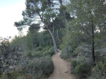 Trail Walking Aix-en-Provence - Randonnée des barrages Zola et Bimont - Photo