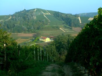 Tour Zu Fuß Montà - Sentiero Religioso - Photo