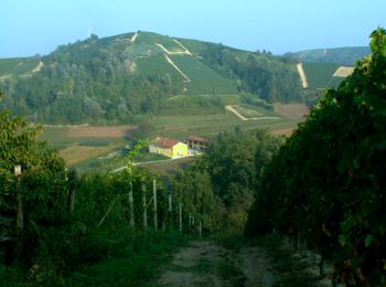 Randonnée A pied Montà - Sentiero Religioso - Photo