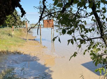 Trail Walking Cussac-Fort-Médoc - LSG CUSSAC Sept 2919 - Photo