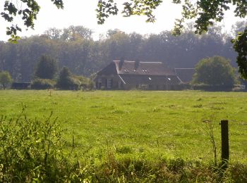 Tour Zu Fuß Bronckhorst - Ockhorstroute - Photo