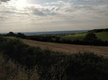 Tour Wandern Hauteville-lès-Dijon - Hauteville lès Dijon - Photo