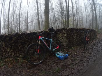 Tour Mountainbike Villers-la-Ville - Villers_la_Ville_20211217_093408 - Photo