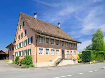 Randonnée A pied Mönchaltorf - Aaspitz - Grüningen Haufland - Photo