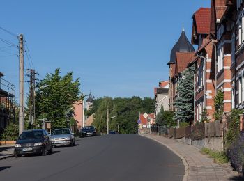 Randonnée A pied Pößneck - Rundwanderweg Pößneck-Seebach - Photo