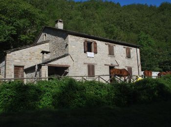 Tour Zu Fuß Bagno di Romagna - IT-211 - Photo