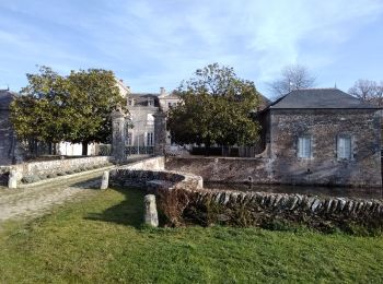 Excursión Senderismo Le Loroux-Bottereau - rando du vignoble avec liaison - Photo