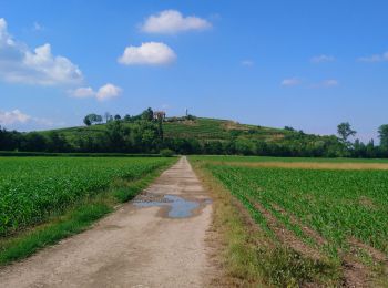 Excursión Bicicleta híbrida Colmar - Vélo randonnée Colmar Guebwiller  - Photo