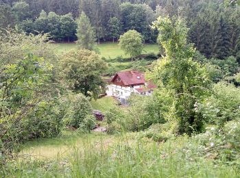 Tocht Te voet Mudau - Rundwanderweg Reisenbacher Grund 2 - Photo