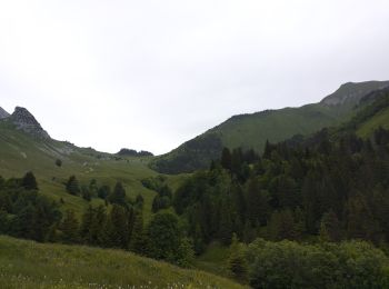 Tocht Stappen Plancherine - chalet de Drison à nant fourchu  - Photo