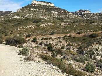 Excursión Senderismo Cheval-Blanc - Gorges du régalons - retour Mayorques - Photo