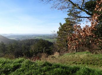 Tour Wandern Puy-Saint-Martin - 2022-10-01_17h59m42_tmpWriteApidae_259832_fr - Photo