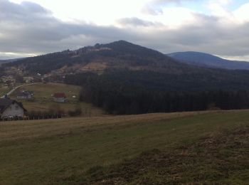 Tour Zu Fuß Targoszów - Szlak kapliczek - Photo