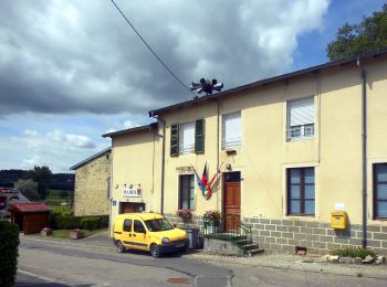 Randonnée A pied Vittel - Les Crêtes du Montfort - Photo