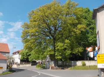 Trail On foot Wermsdorf - Kleine Collm Rundwanderung - Photo