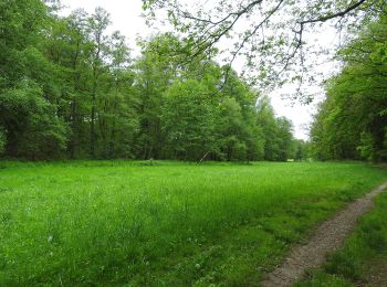 Tour Zu Fuß Wilkau-Haßlau - WW Wilkau-Haßlau - Quarksteine - Niedercrinitz - Filzteich - Photo