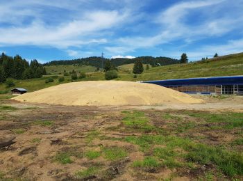 Percorso Mountainbike Hauteluce - 2019.08.16-19,5km-Saisies Chemin des marmotes Refuge Palette Chemin des tourbières Centre skis de fond Le Benetton La Légette Piste VTT Shrek Lavage Saisies - Photo