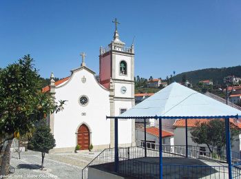 Trail On foot Sameiro - Rota da Azinha - Photo