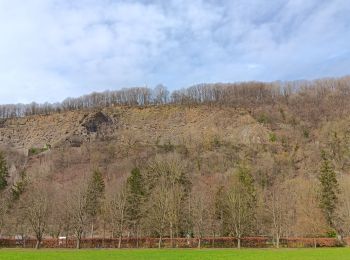 Trail Walking Aywaille - autour de Dieupart et Sougné sur les deux versants  - Photo