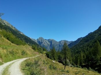 Percorso A piedi Alagna Valsesia - IT-202 - Photo