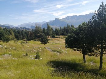 Excursión Senderismo Le Dévoluy - Le col charrier  - Photo