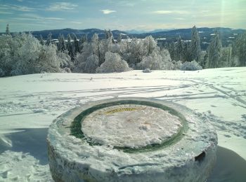 Tour Schneeschuhwandern Pontarlier - Pontarlier Gounfay Grand Taureau 2021-01-19 CAF - Photo