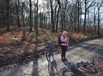 Tocht Te voet Roetgen - Petergensfeld (Grünes Rechteck) - Photo
