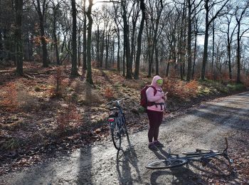 Randonnée A pied Roetgen - Petergensfeld (Grünes Rechteck) - Photo