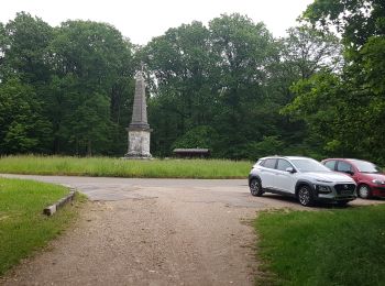 Trail Walking Saint-Léger-en-Yvelines - Yvelines_Croix-Vilpert=>Rochers-d'Angennes=>Petit-Etang-Neuf - Photo