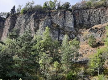 Randonnée Marche Monistrol-d'Allier - Monistrole-d'Allier - Photo