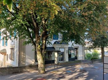 Tour Zu Fuß Othmarsingen - Lenzburg - Othmarsingen - Photo