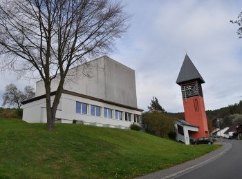 Percorso A piedi Reichelsheim (Odenwald) - Rundwanderweg Bockenrod 1 - Photo