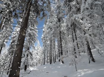 Excursión A pie Čachrov - [M] Pod Malým Špičákem - Habr - Photo