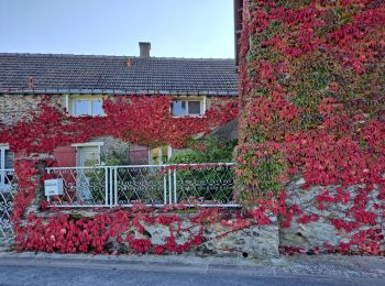 Percorso Marcia Saint-Forget - Le Mesnil Sevrin - Photo