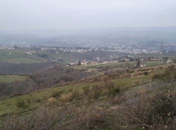 Excursión Senderismo Châteauneuf - 42-barrage-couzon-ste-croix-retau-17km-550m - Photo