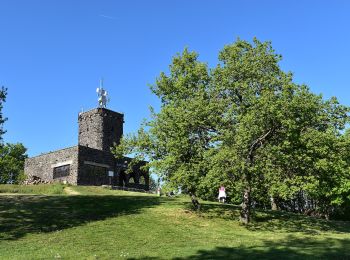 Tocht Te voet Somlóvásárhely - ST Somló, Kitaibel Pál tanösvény - Photo