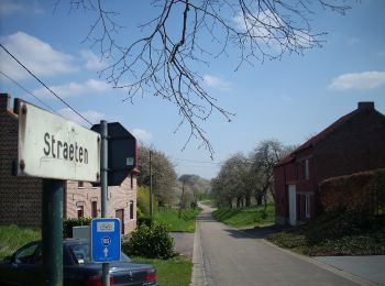 Randonnée A pied Saint-Trond - Cicindria Straeten oranje bol - Photo