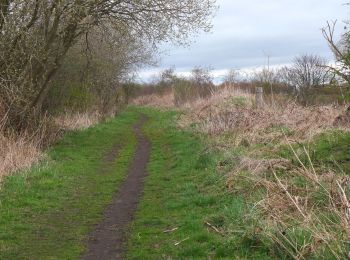 Tour Zu Fuß  - Pencaitland Railway Walk - Photo